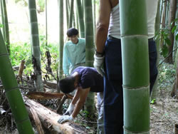 特定非営利活動法人 京都教育サポートセンター